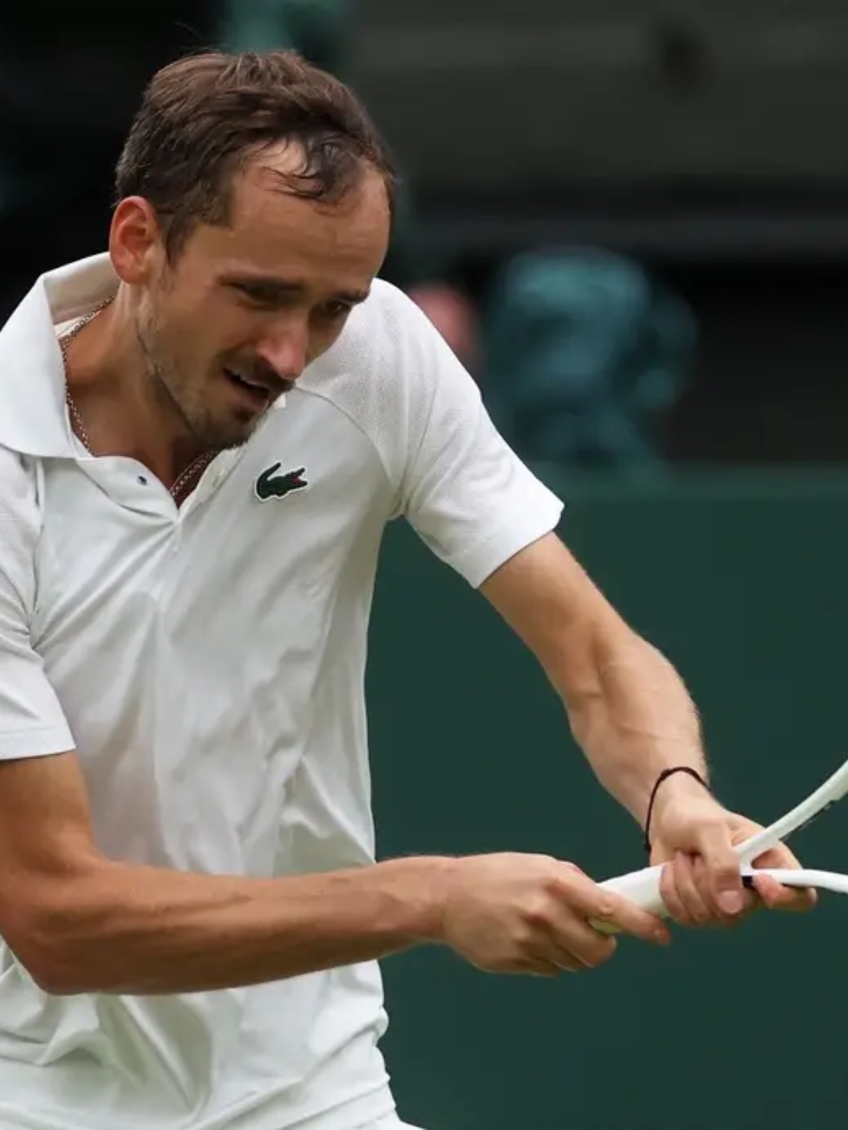 戴维斯杯碾压年终总决赛，梅德韦杰夫刷新纪录