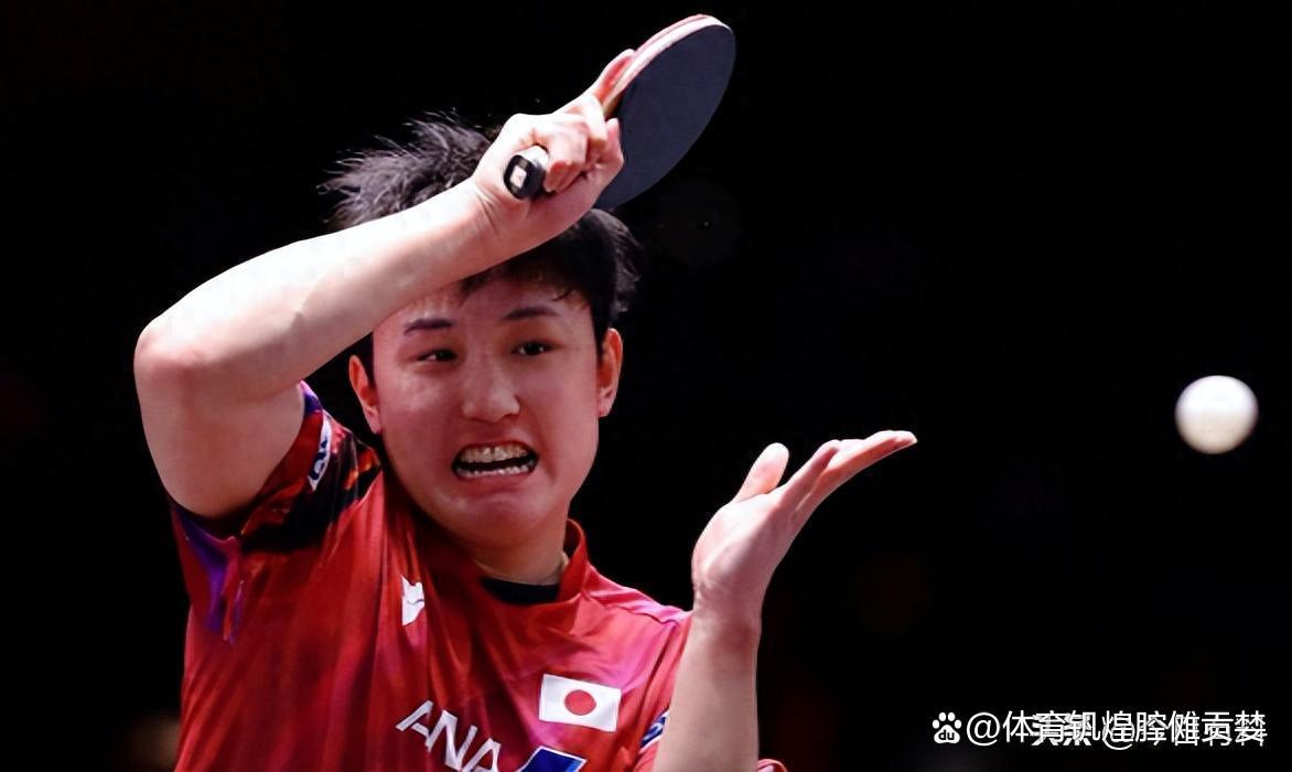 法国队完胜波兰队，张本智和状态火热